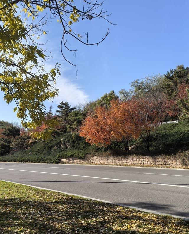 当日本说台湾有事就是日本有事的时候，我们不要怼他，怼他没有什么用，你怼他，他也不