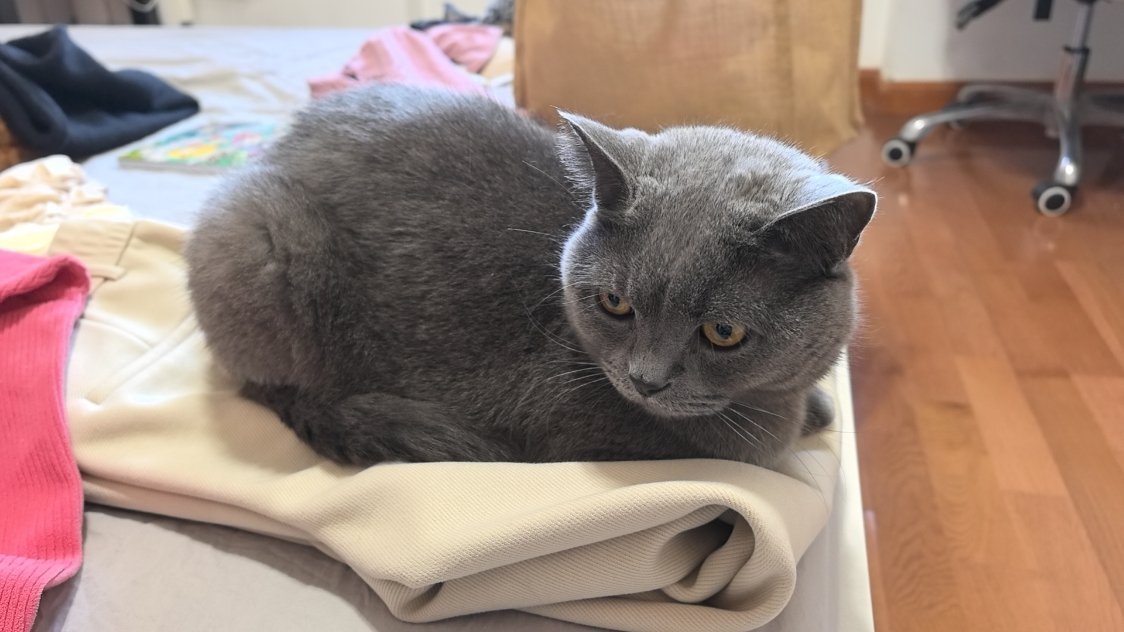 这个假期新闻有点多，还是每天开心最重要 