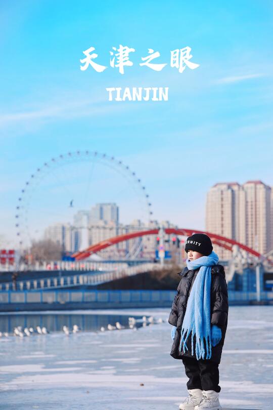 天津旅行 | 西伯利亚海鸥浓度已加载10000%