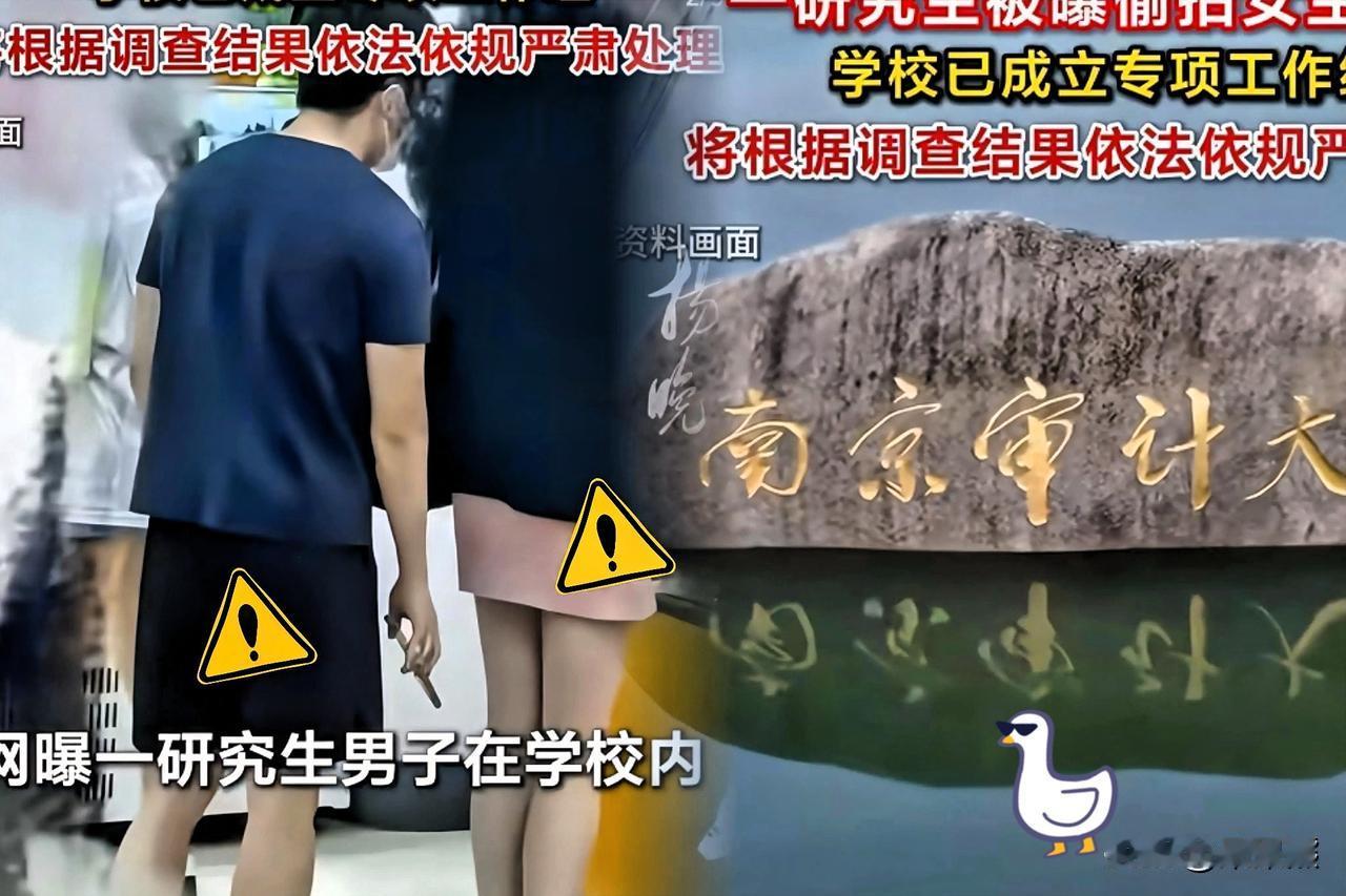 快、准、狠的处罚，才有意义！

南京审计大学，用实际行动给自己做了最好的招生简章