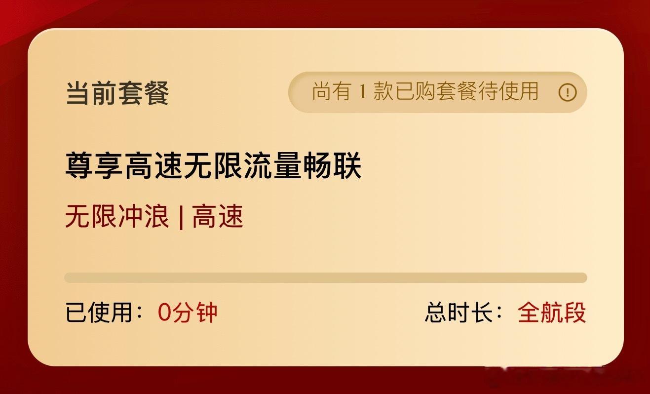 花了一百多试过了飞机上最快的网也很慢
