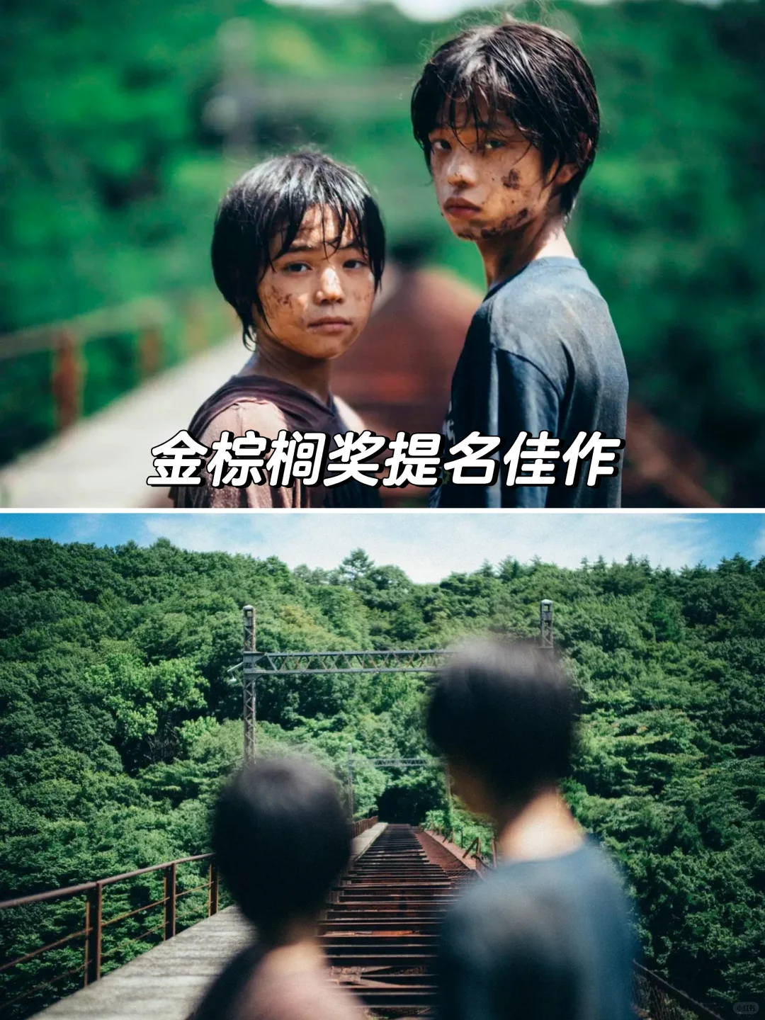 💥你以为的真相，未必是真相...