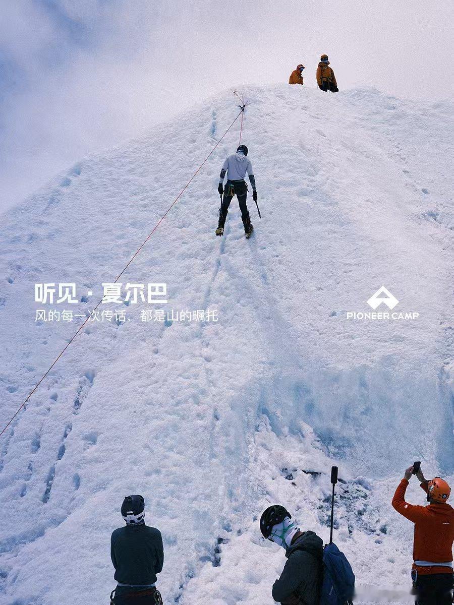 拓路者与山共生做拓路者越万重山  上海佘山的草木语上海的佘山藏在城市褶皱里，像块