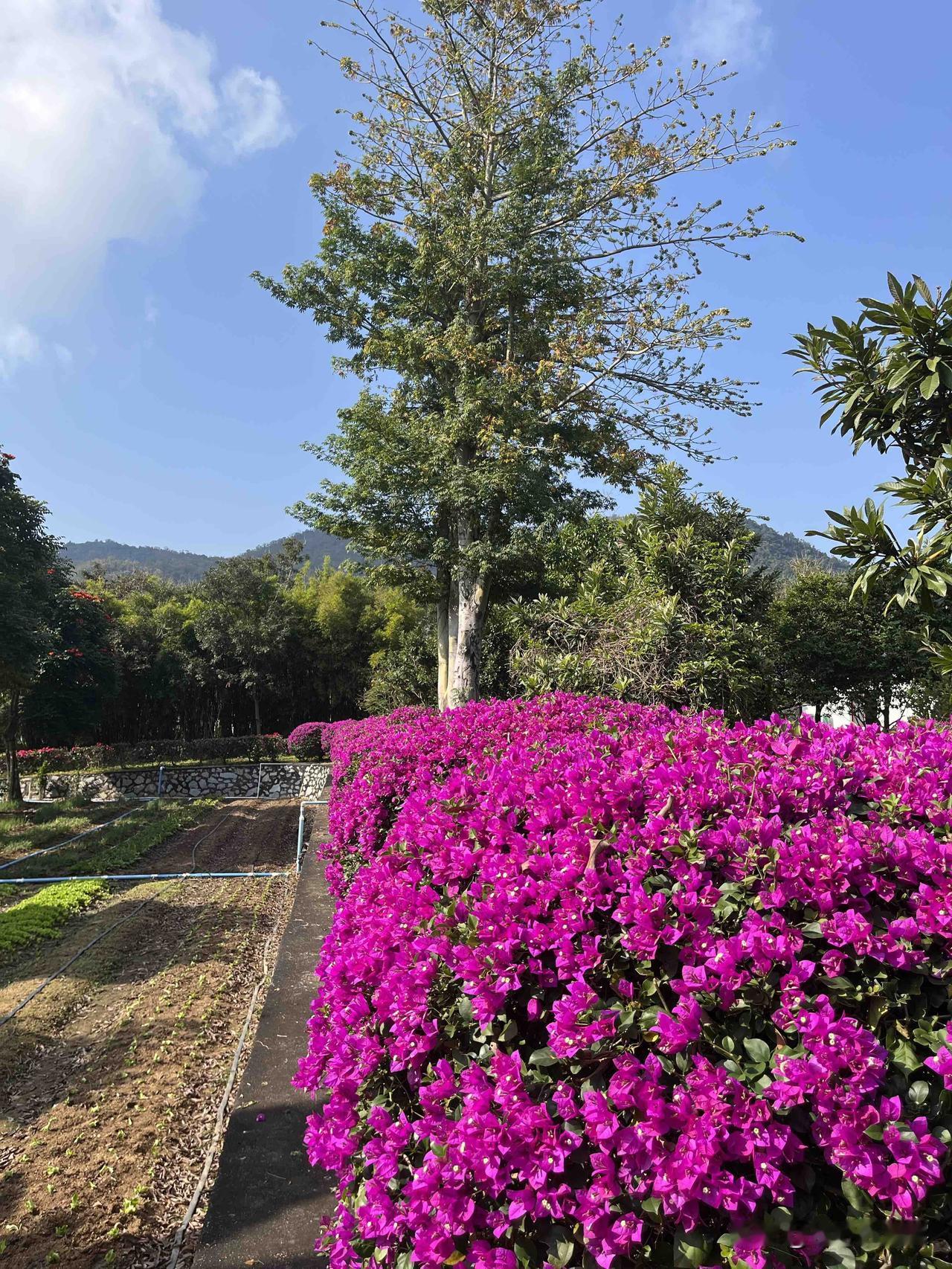 戏子与观众的斗争，观众不掏钱就稳操胜券，戏子爱咋咋地，观众再不当傻子，又能咋地。