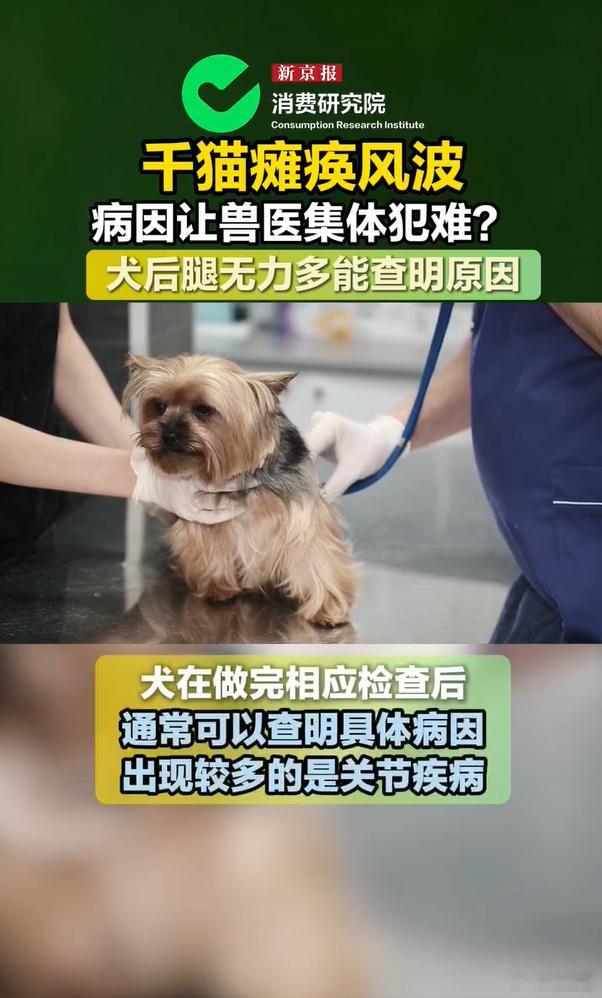 真正养宠、懂宠的人都知道，猫狗后腿毛病绝对不能一概而论。狗狗病因明确好医治，猫咪