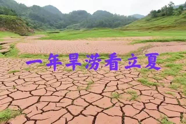 “一年旱涝看立夏”，明日立夏，今年下半年是旱是涝？看农谚咋说

       2