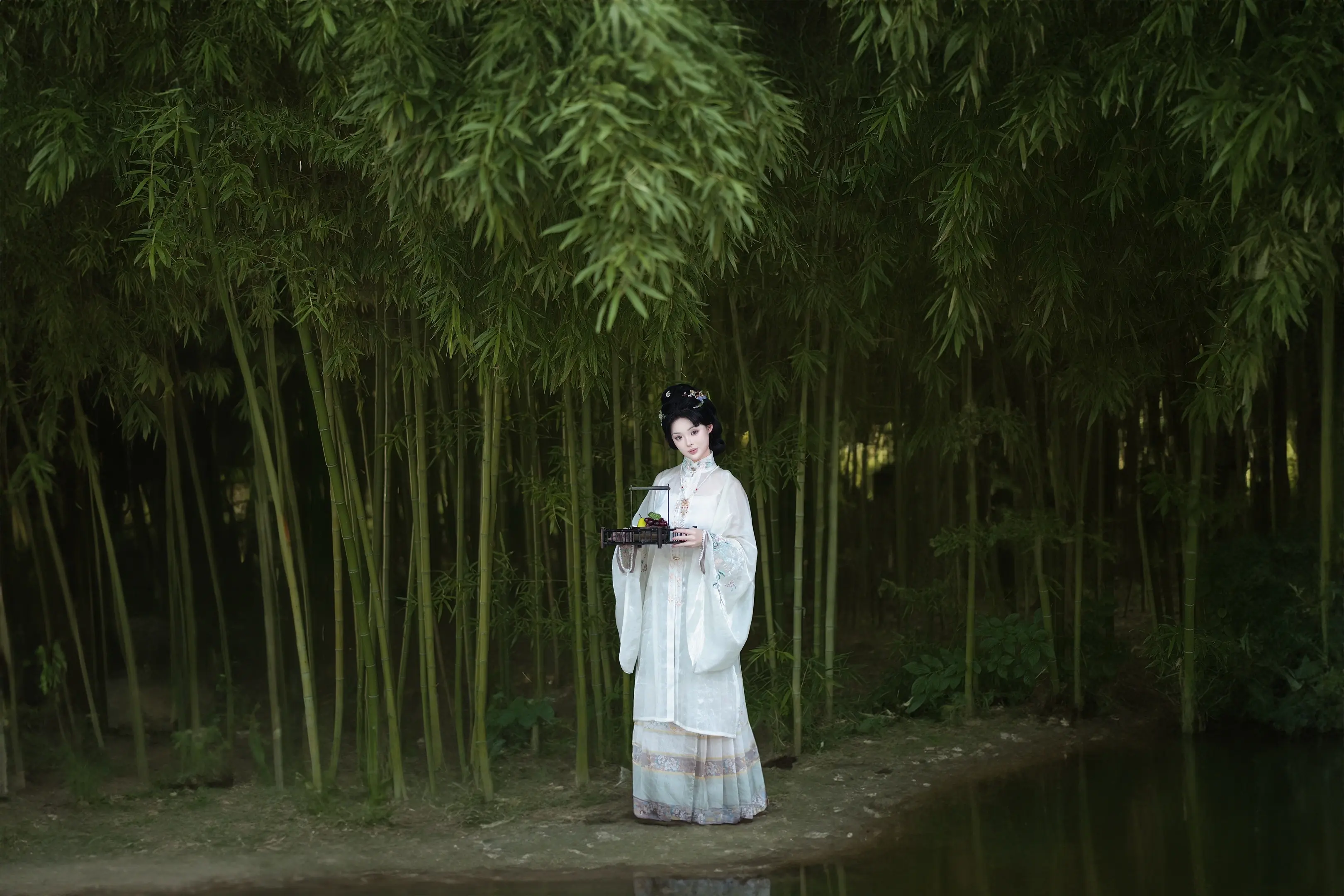 阴天竹林。
