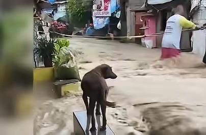 暴风雨来袭菲律宾，这次他们终于不会找我们伸手要救灾物资了吧！

菲律宾防长特奥多