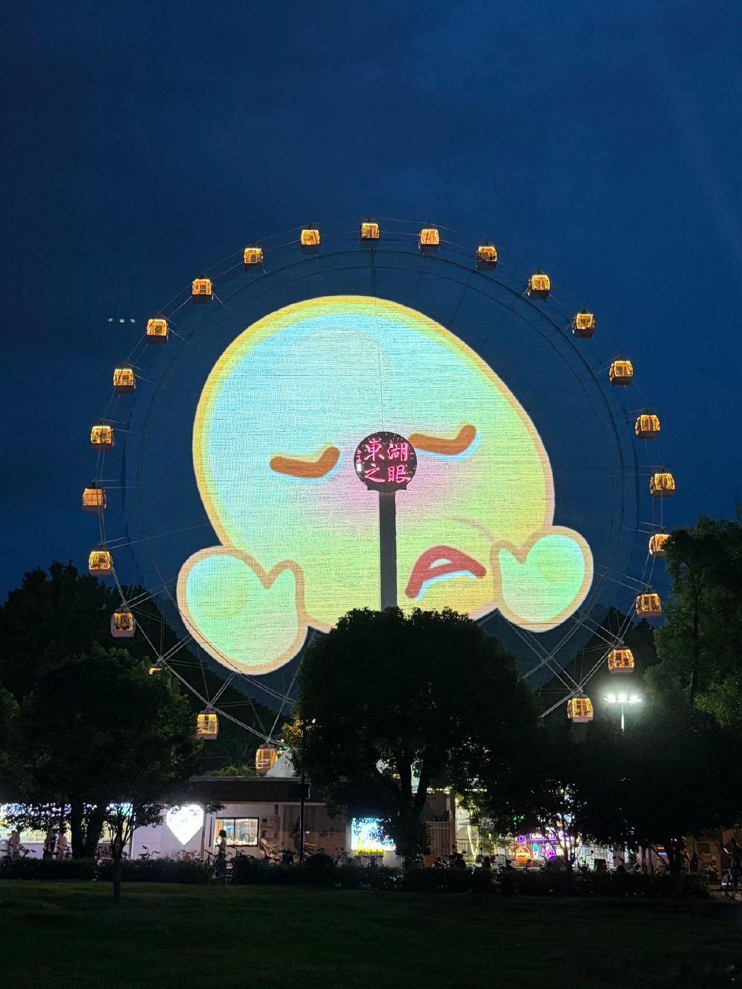 武汉把摩天轮玩明白了 别的城市摩天轮转的是夜景，武汉这个转的全是热梗。上去一趟等