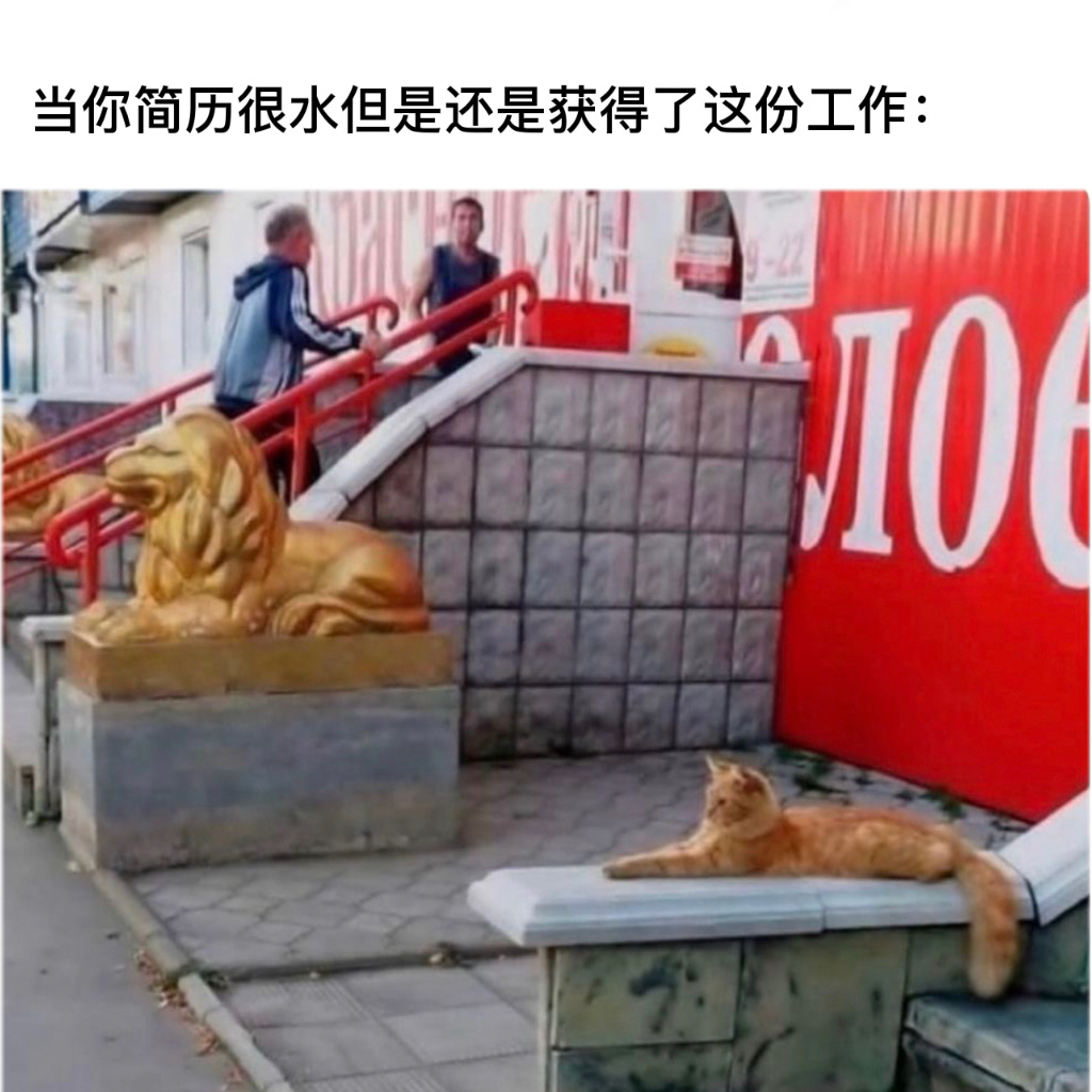 我相信他能够胜任#今日memes# //#新年快乐漫游指南# //#转发接龙开新