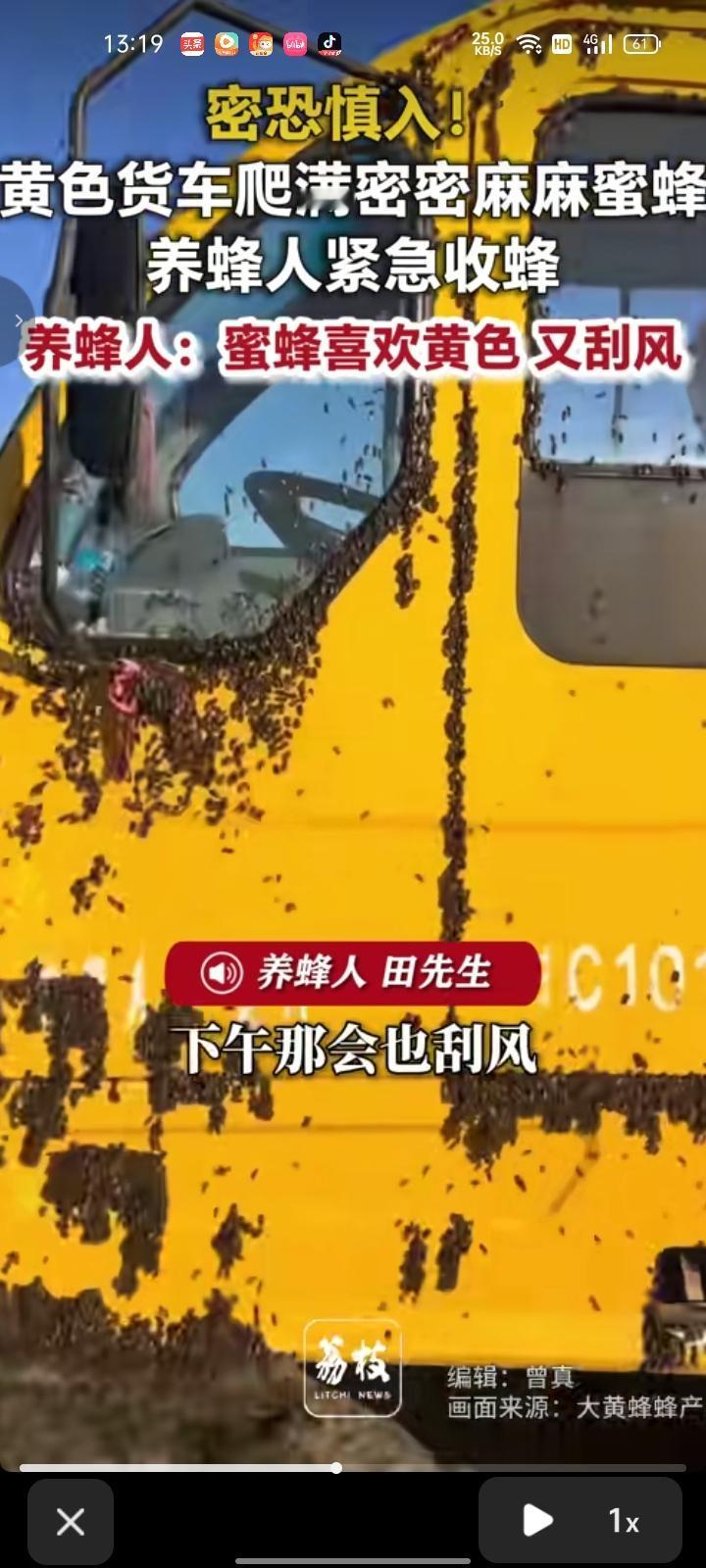 9月12日，吴忠市盐池县。网友发视频称，当天下午装蜜蜂时，蜜蜂都还没回来。蜜蜂偏