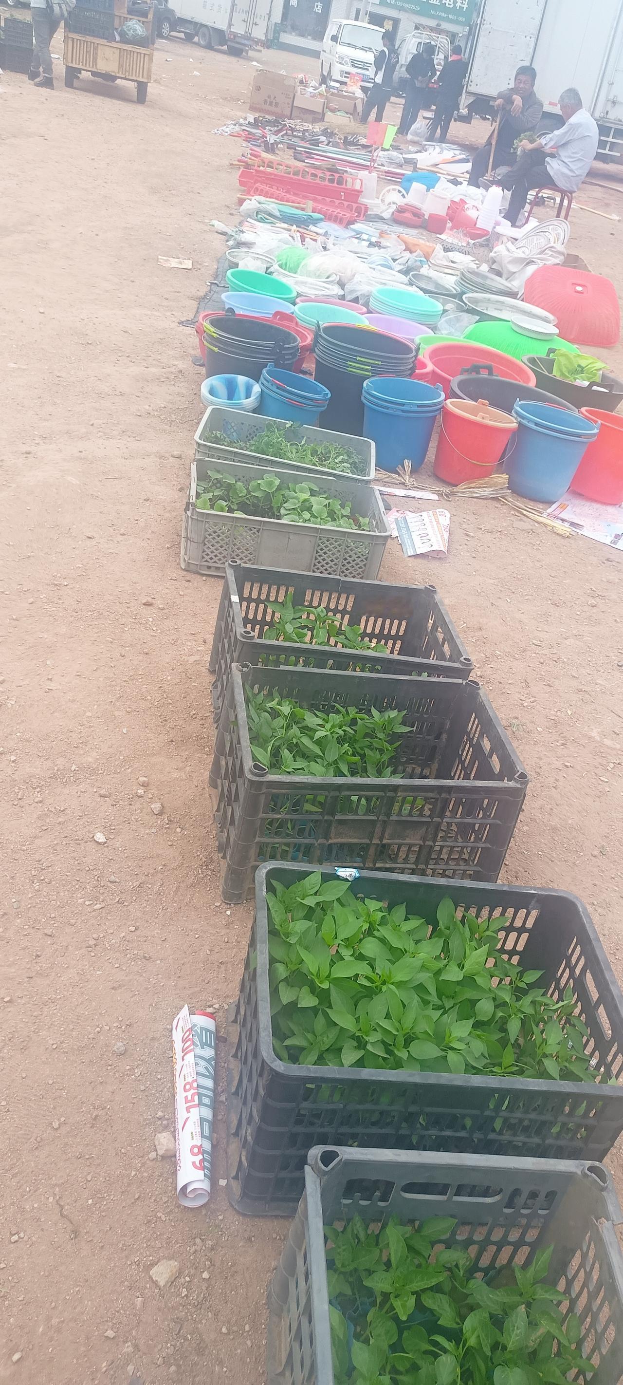 我老公分析，婆婆比较孤单，也没几个亲近的人，心里就惦记着几个孩子，包括我，也是她