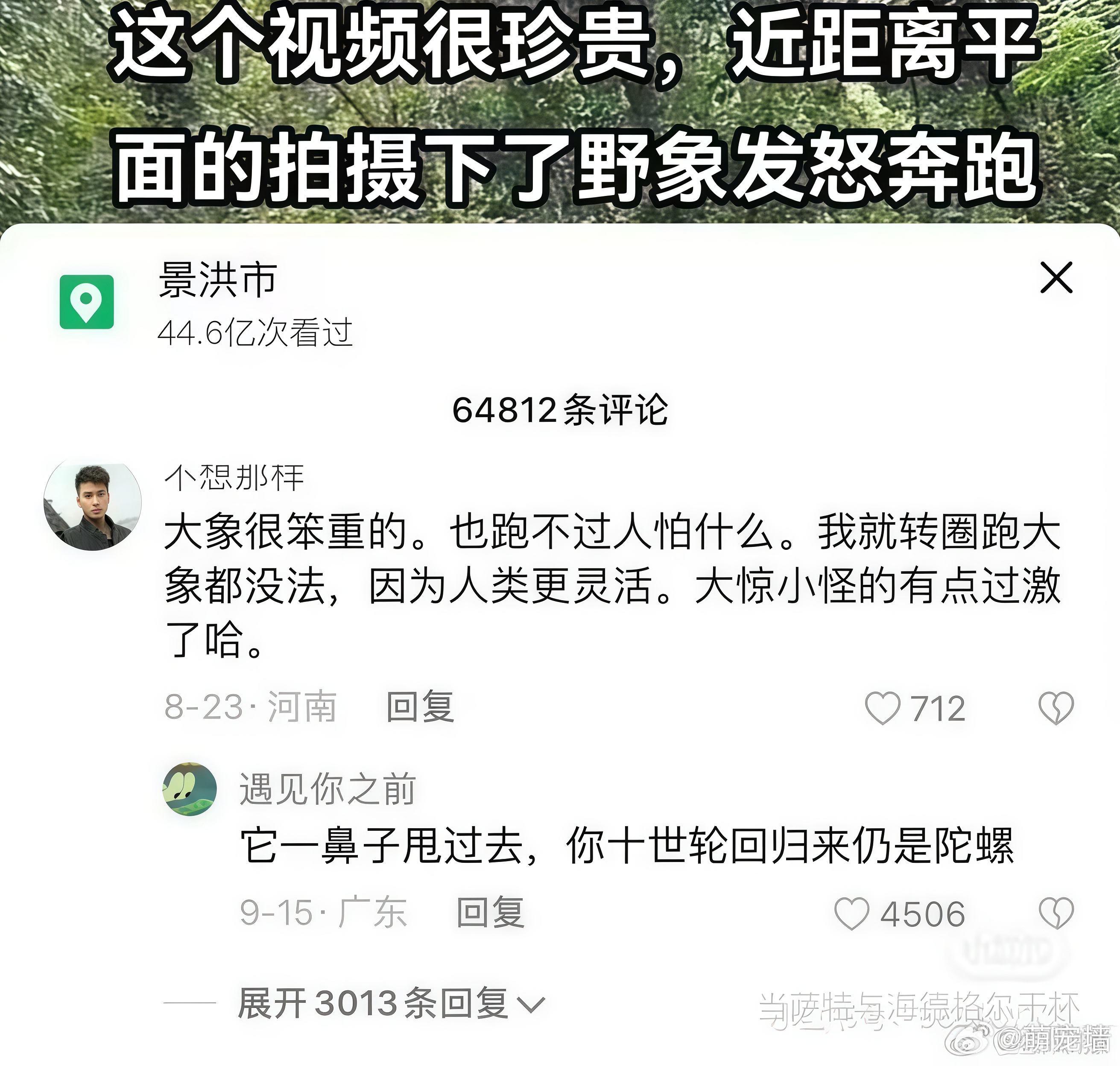 我特么笑的手没劲儿了 ​​​