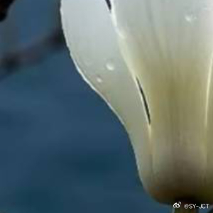 每日一善每日一善 心存善念,阳光就会照耀你;心存美丽,温暖就会围绕你;心存大爱,