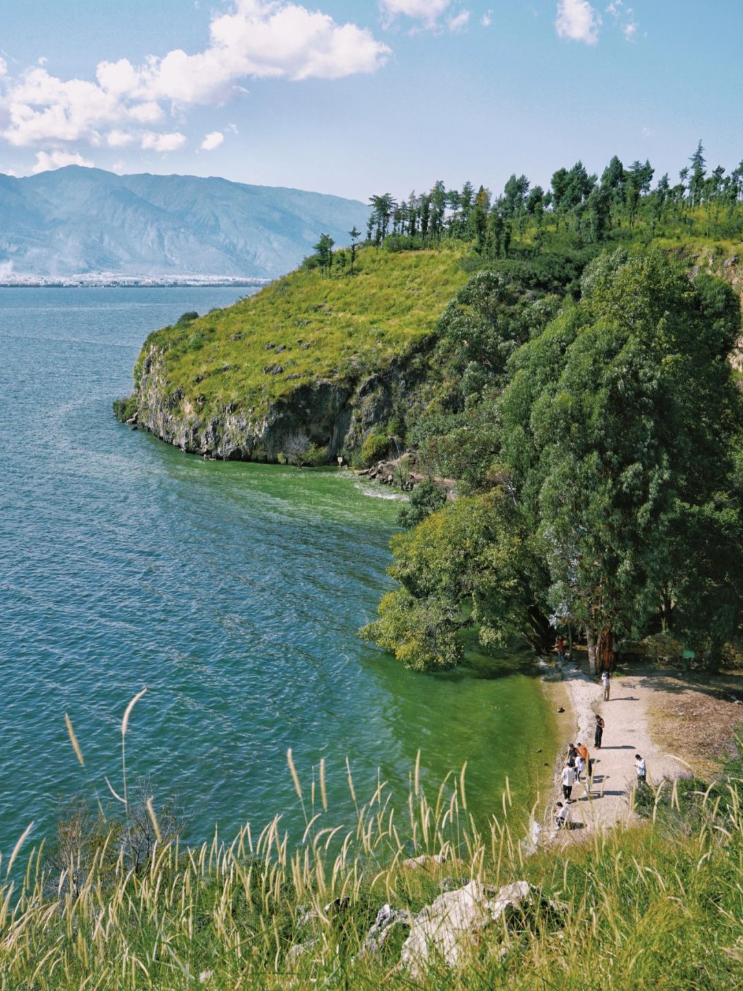 都以为我出国了😂可是就在洱海边啊