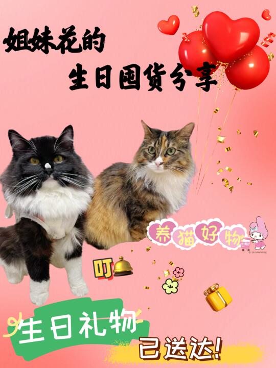 姐妹花的生日快递已签收✍️