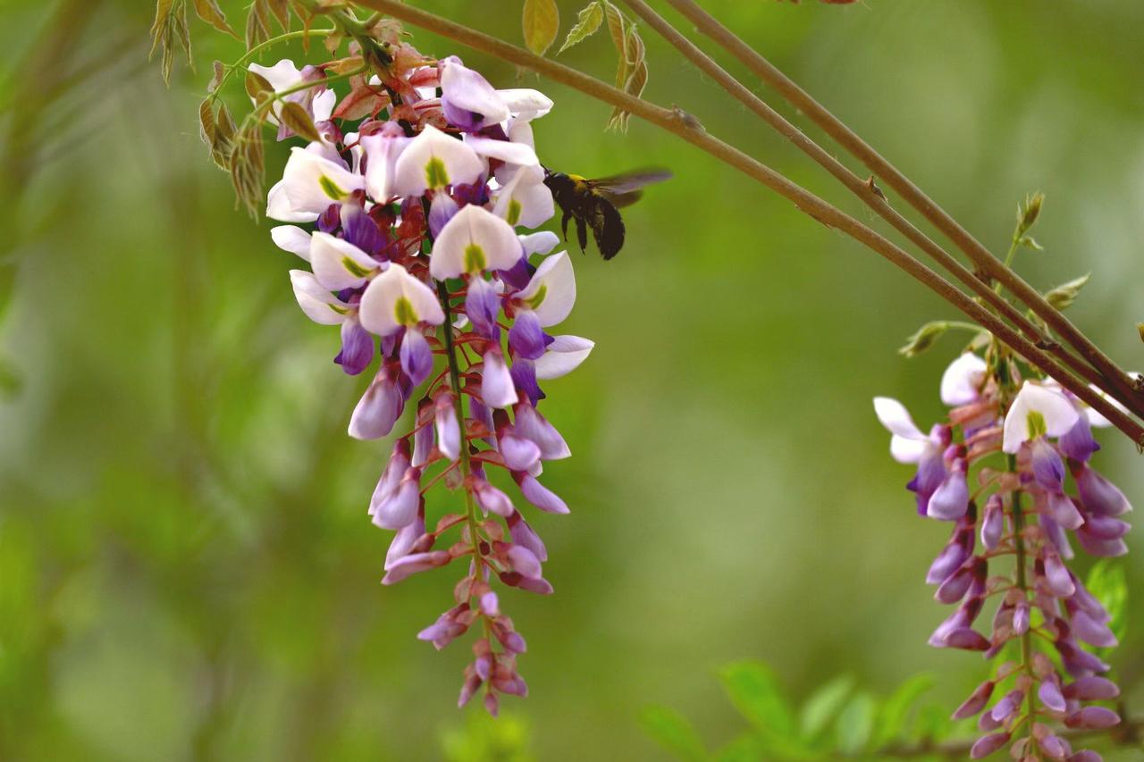 阳台的花枯了就换一盆，不爱看的剧立马切台，不必勉强自己迁就谁。把“应该”换成“我