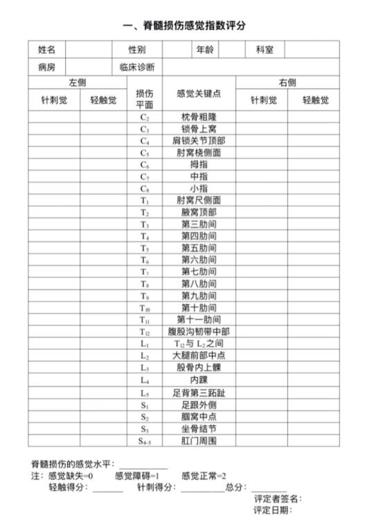 脊髓损伤评定量表