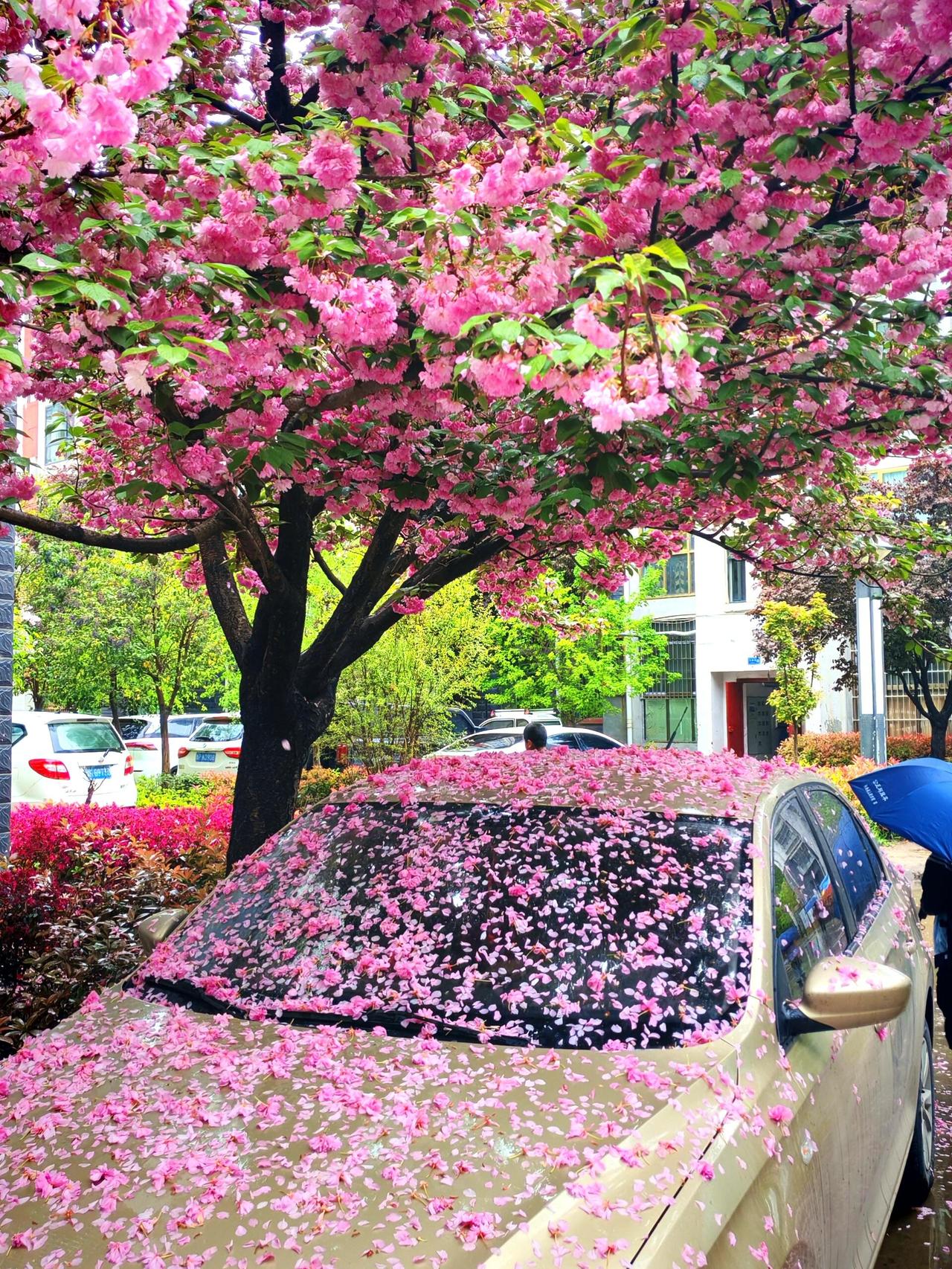 这样拍📷没错吧？