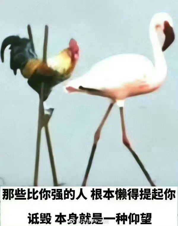 那些比你强的人根本懒得提起你诋毁本身就是一种仰望。 过一阵子就要发一下。们国超还