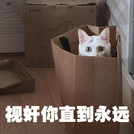 网页链接 用起来用起来 
