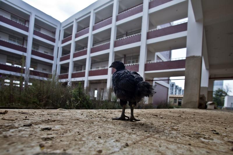 40岁单亲妈妈工地扛楼 40岁单亲妈妈工地扛楼，这画面想想就令人动容。生活对她太