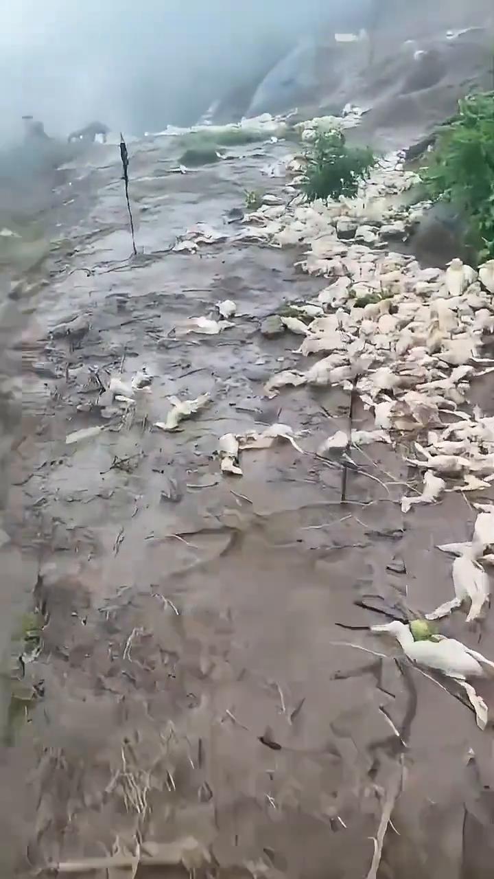 昨天的梦想都还在，真好。我的睡醒都把梦想给忘记了，搞这种功我再也不好玩了。