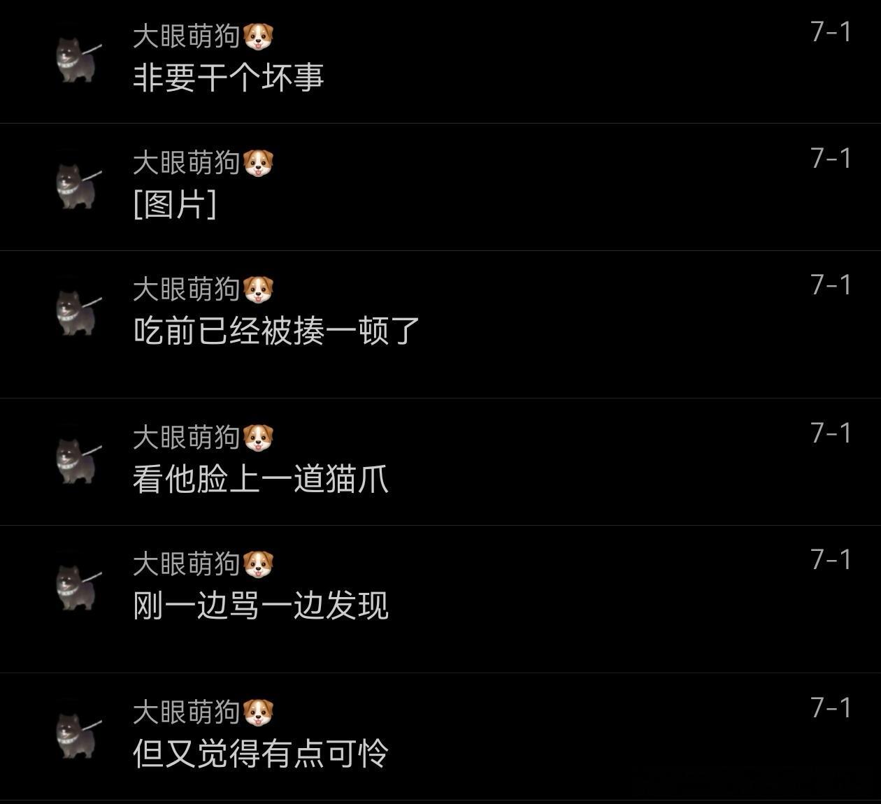 不呆 干了坏事偷吃的呆随叫随到🐶天天下雨小呆变得更臭了穿雨衣也要出去溜溜