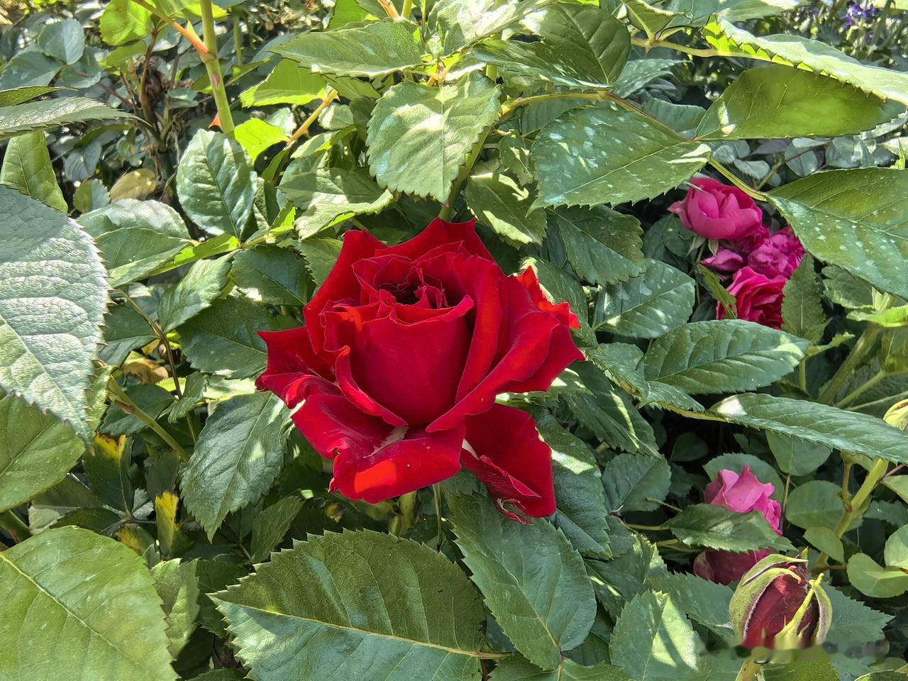 一不小心就犯了“以貌取人”的毛病。

早上去药店买点药，一进门，一位穿白大褂的姑