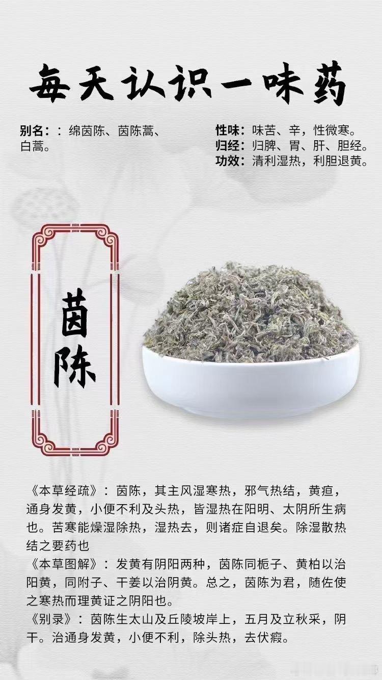 #每天一味中草药##健闻登顶计划# 【每天一味中药材】🎖茵陈⭐别名：绵茵陈、茵