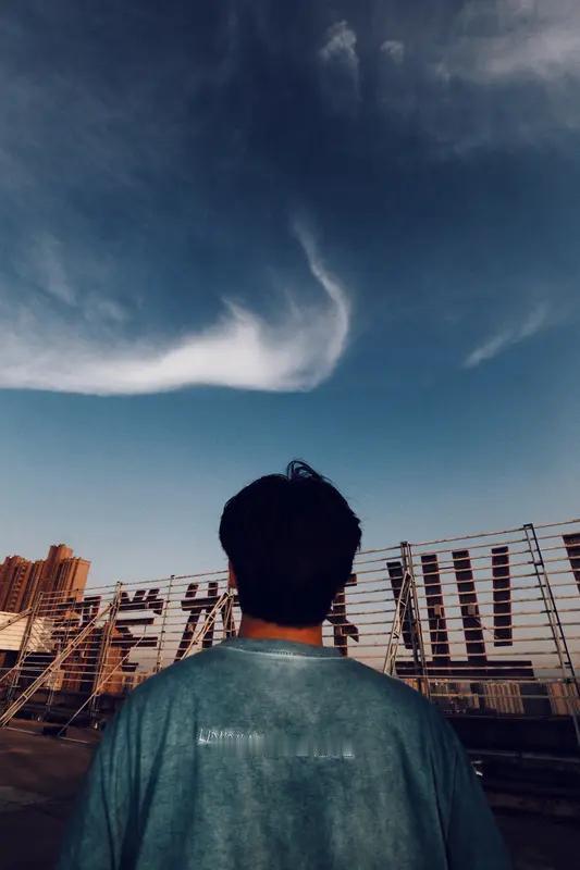 看到风起叶落所撰的对联 “万物观来皆是你；千般细思总关情”，我一下子就被其中的深