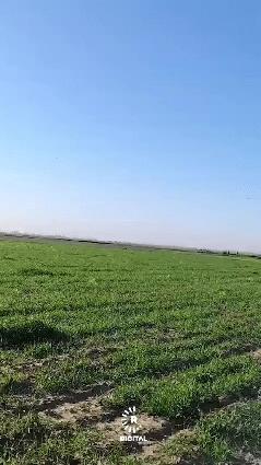 大批美国巡航导弹，超低空越过边境飞向德黑兰，这个场景与1990年海湾战争真的太像