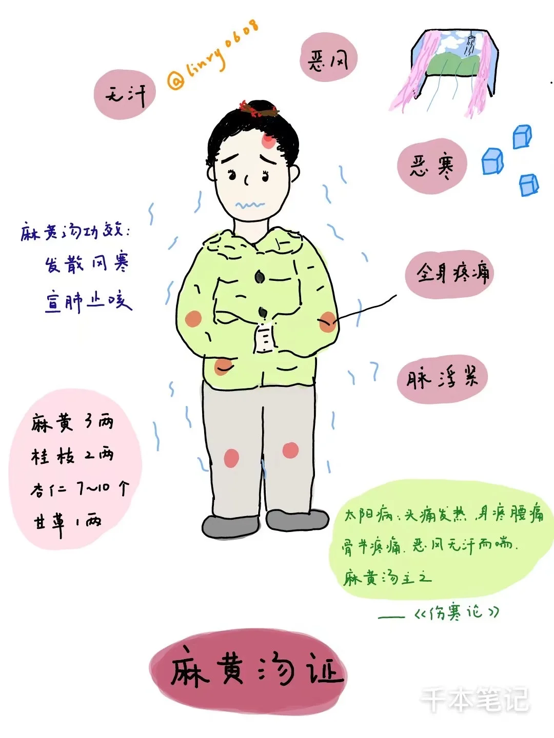 学好经方🌿第1期【麻黄汤】