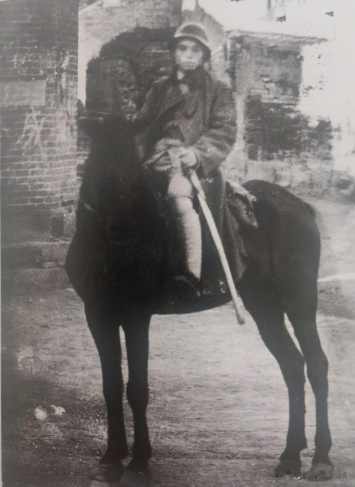 1939年8月，日军第109师团一部由晋城北犯，企图经高平向长治换防。687团在