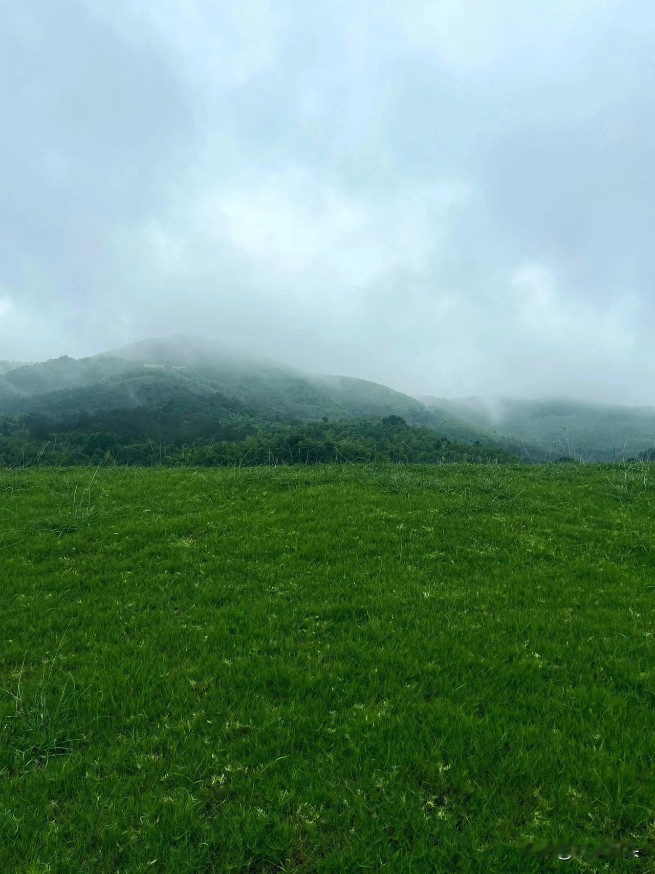 夏日生活打卡季