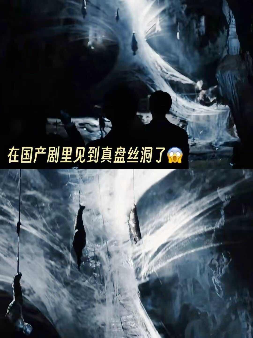 谁家好人子宫里面养蜘蛛啊法医齐思哲的解剖分析太关键，从直达子宫的刀口到神经毒素残