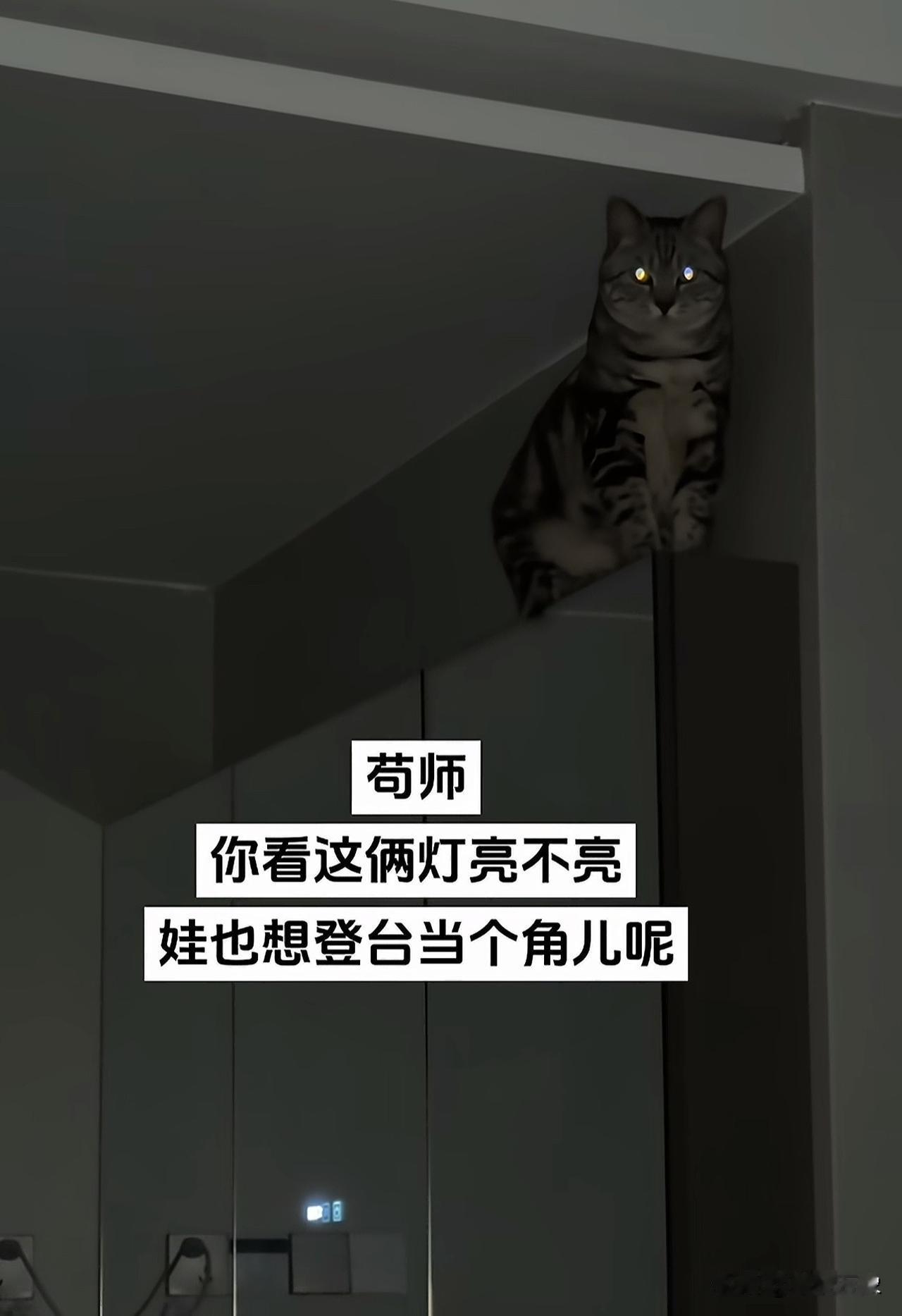 苟师：
你看这俩灯亮不亮？娃也想登台当个角儿呢