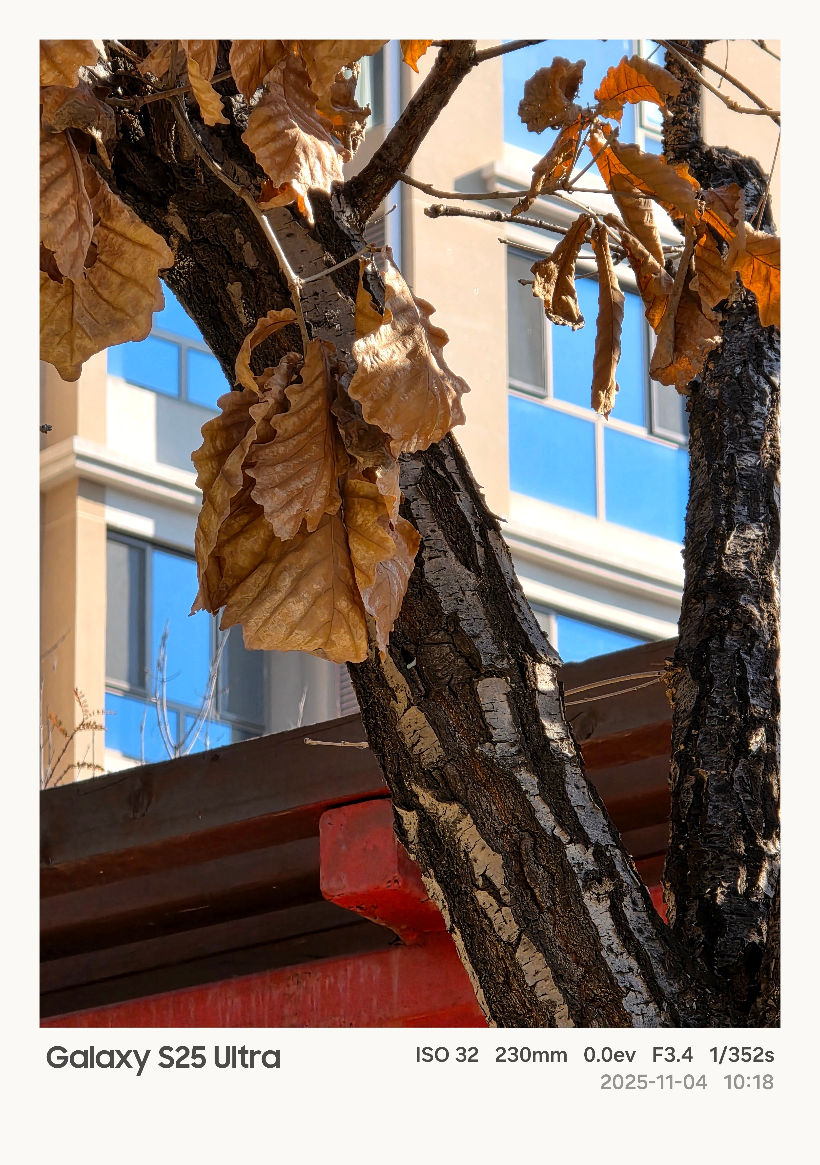 Galaxy S25 Ultra 拍照对比  OPPO Find X9 Pro 