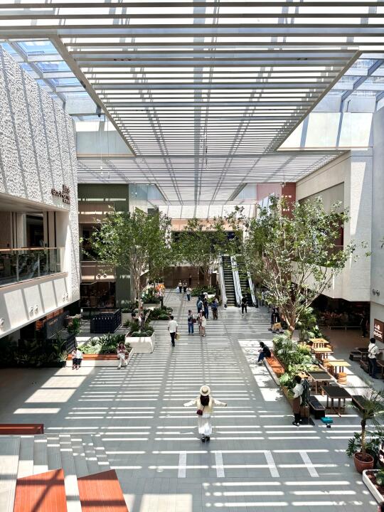 开了...开了！！重庆今天真的鲨疯了！！！！