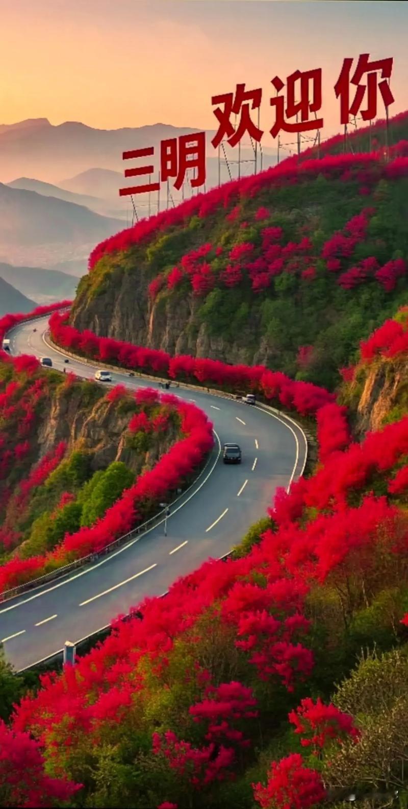 三明市高情商领导班子，关于伴侣动物保护，“权利意识的瞬间觉醒，敢于挑破社会脓包的