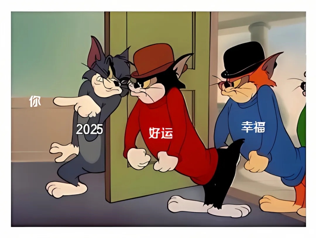 新年快乐哦！（｡ò ∀ ó｡） meme  / 