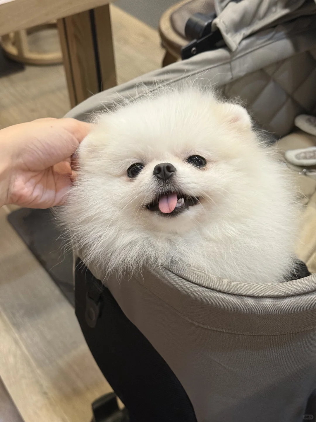 宝宝 你好漂亮呀