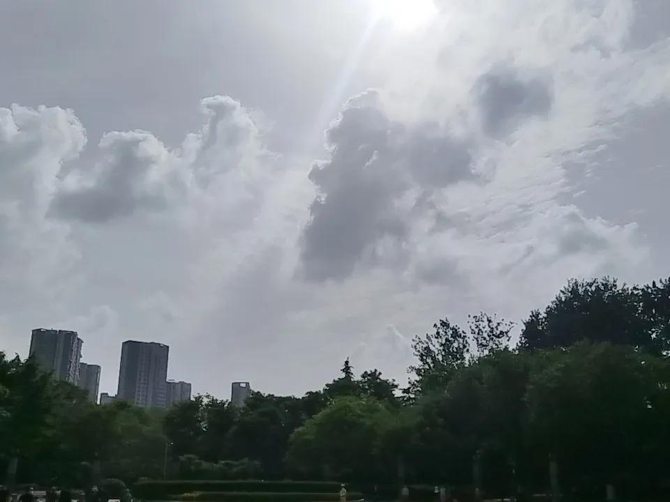 分享随手拍的花的照片