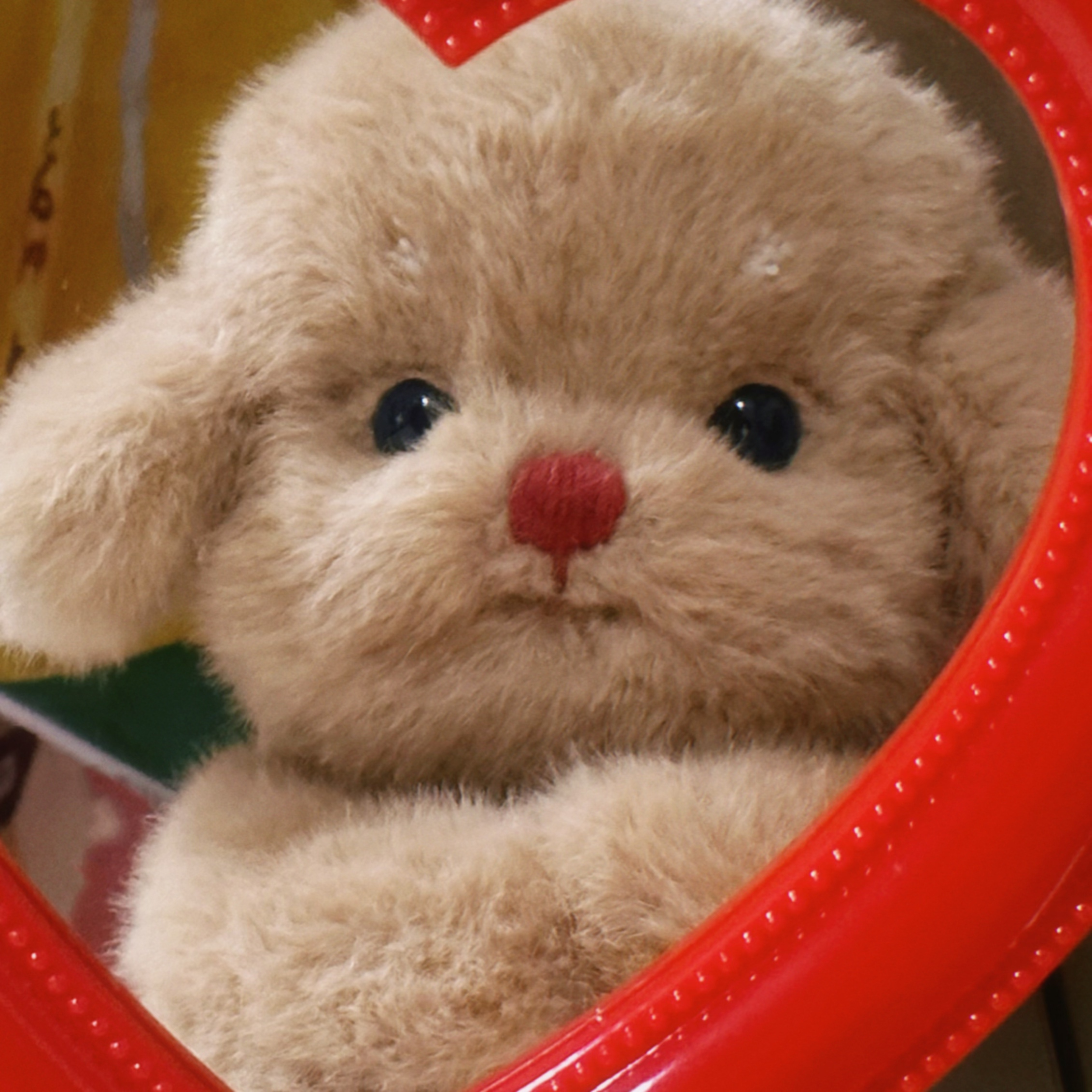 丘比小狗૮₍˶•ᴗ•˶₎ა 