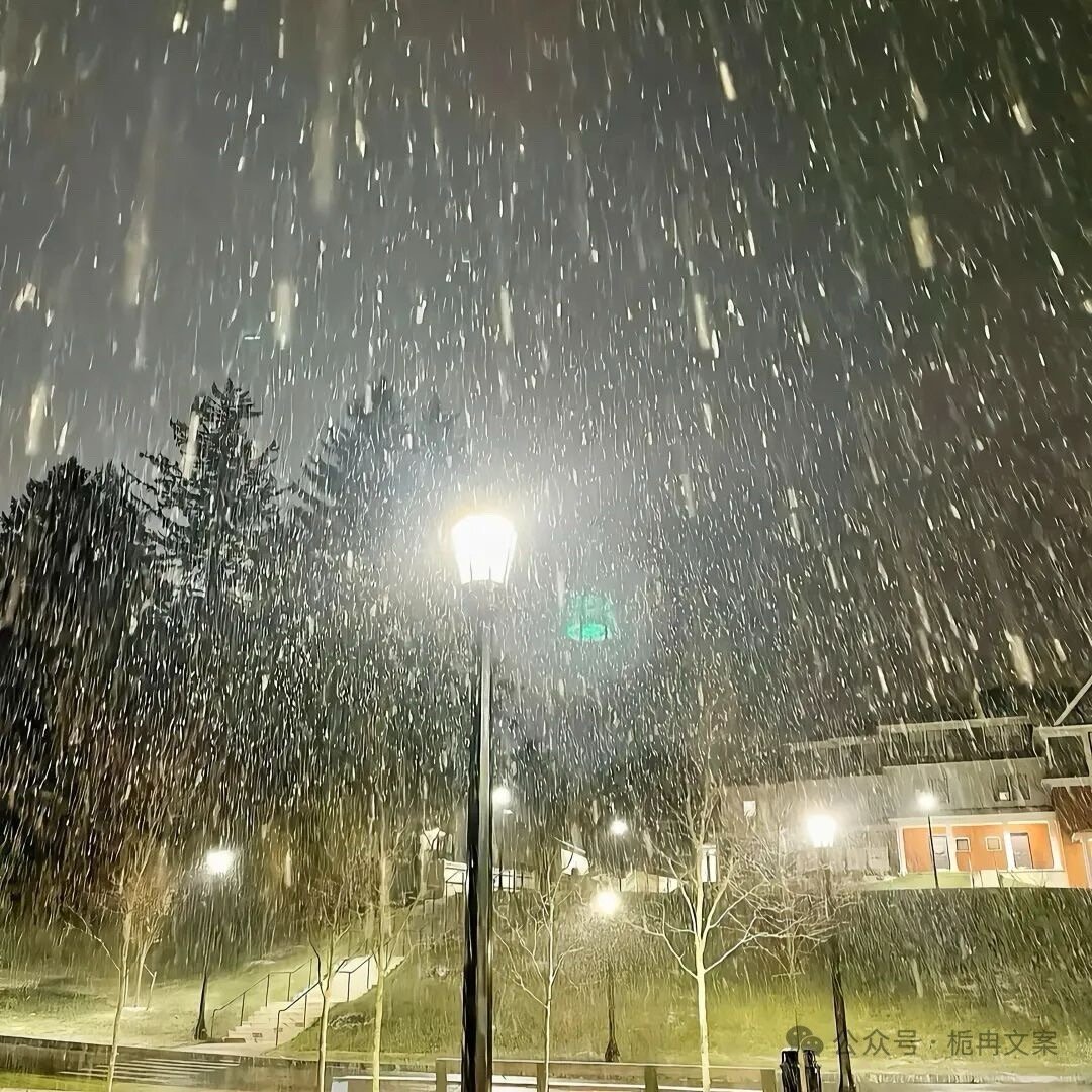 人怎么可以蠢到去纠缠一个对你不好不在乎你感受的人 ​​​