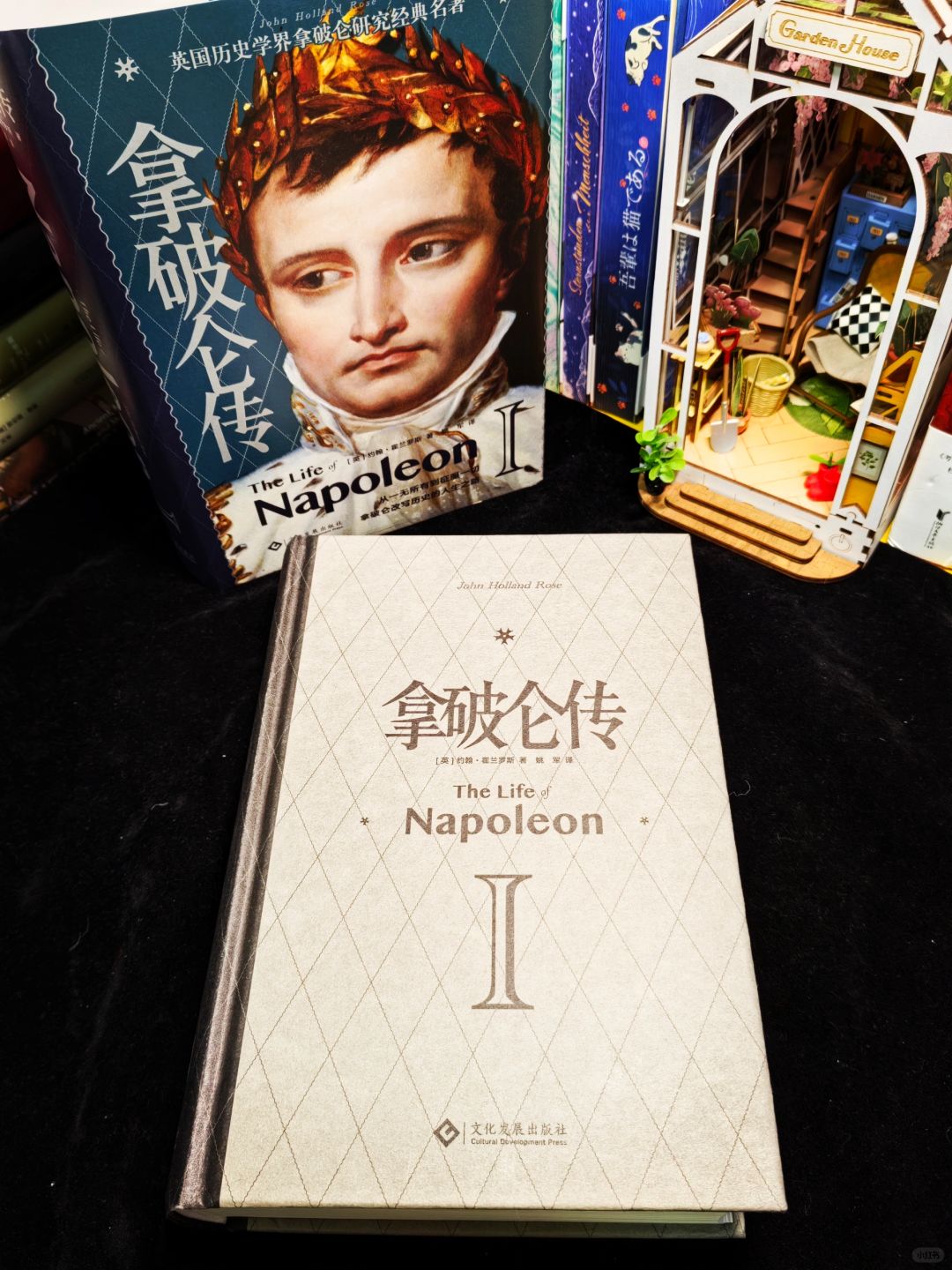 影版拿破仑太魔幻，请看真实历史洗洗眼睛！