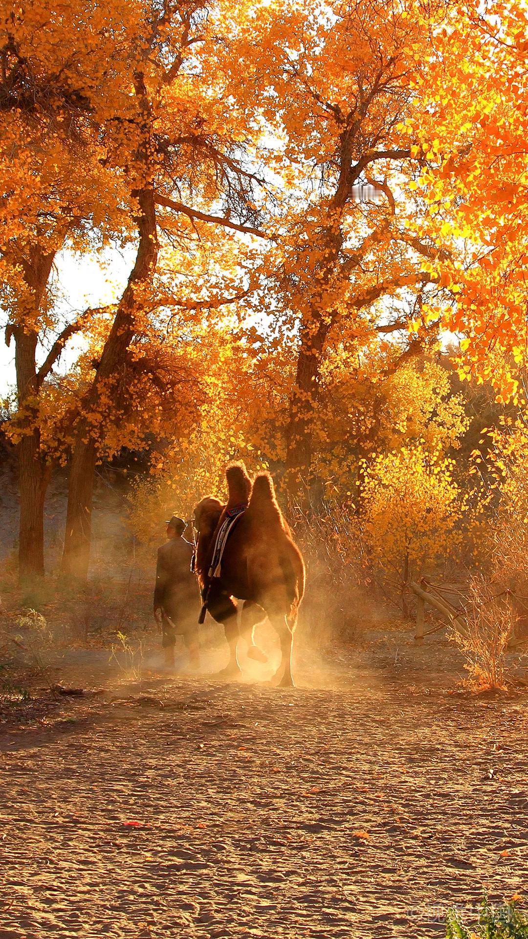老规矩，睡前一更。明日癸卯  乙丑  甲戌。月刑日啊，不过还行，这日课是有一些好