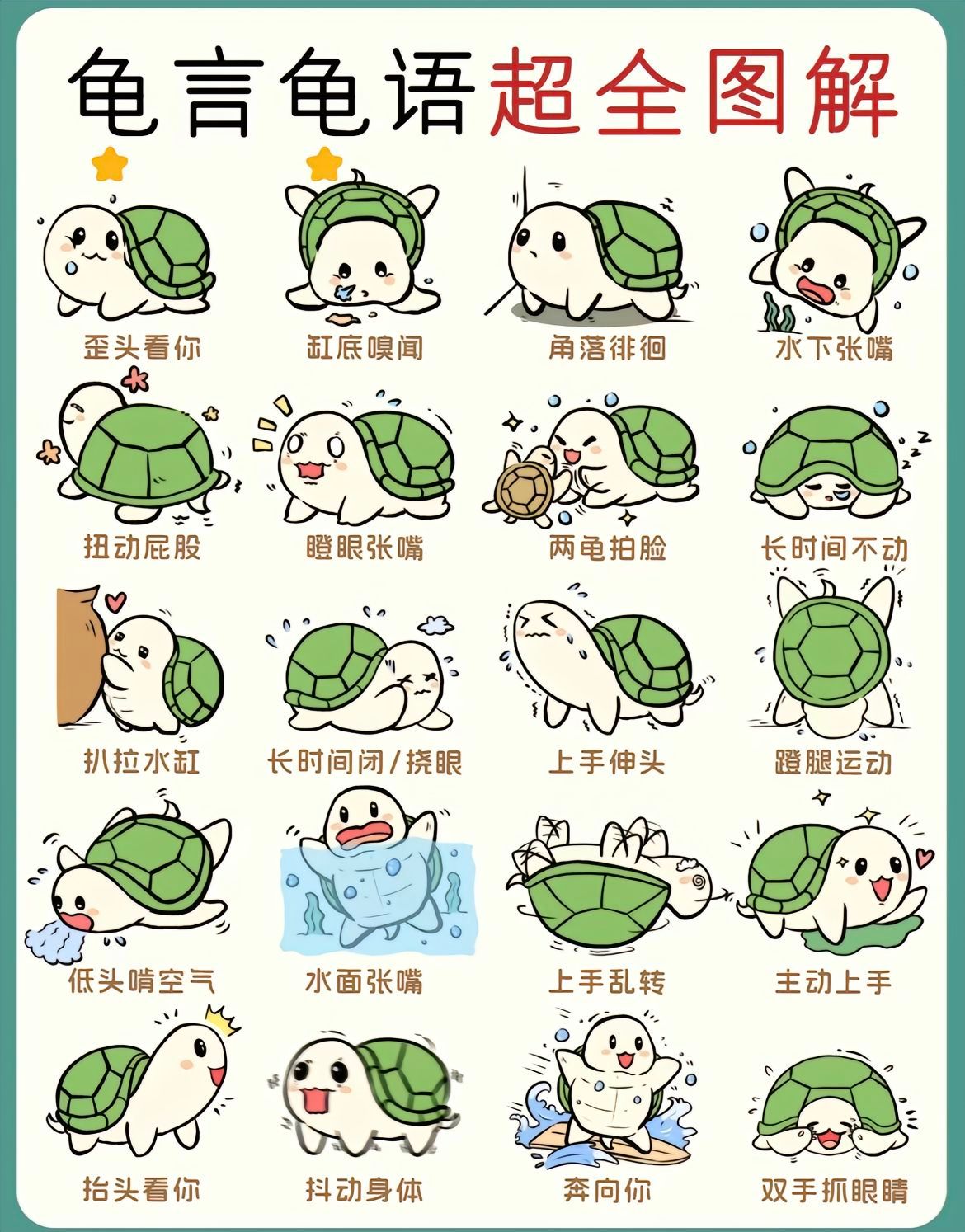 分享图片 ​​​