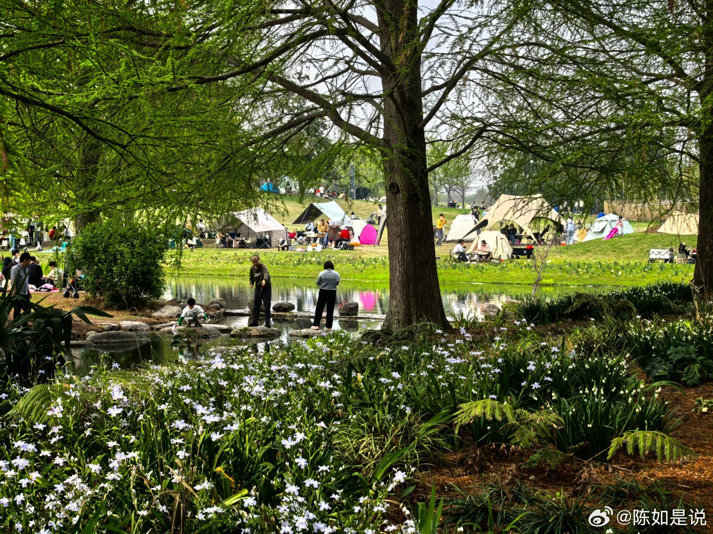 春日即景 上海·上海辰山植物园