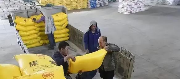 中越边境走私化肥被爆，有人月入千万，14亿人饭碗不能帮别人买单  

最近两年，